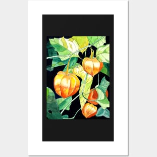 Chinese Lanterns watercolour flowers painting Posters and Art